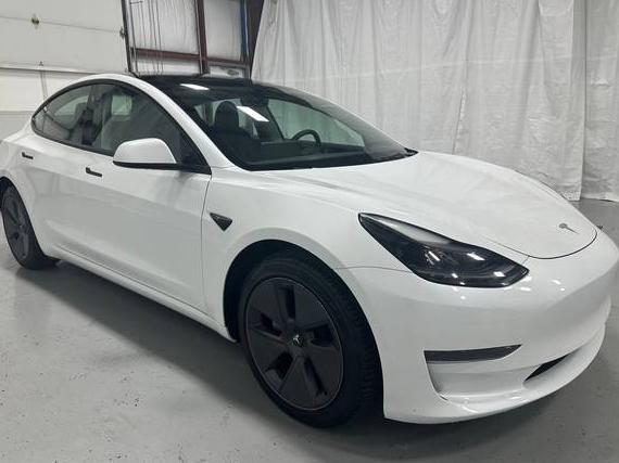 TESLA MODEL 3 2023 5YJ3E1EA9PF604020 image